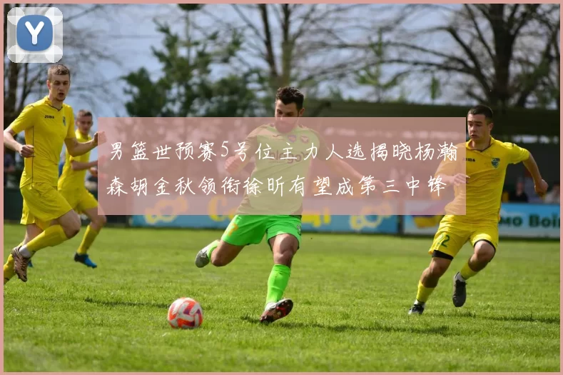 男篮世预赛5号位主力人选揭晓杨瀚森胡金秋领衔徐昕有望成第三中锋